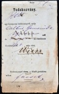 1882 Ex Offo Tudakozvány / Reclamation 'FACSET' - 'LUGOS' - 'WIEN' - Altri & Non Classificati
