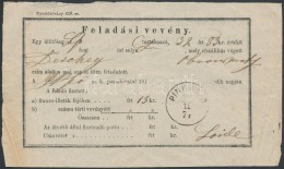 1874 Feladási Vevény 'PINKAFEÖ' - Andere & Zonder Classificatie