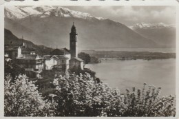 Switzerland - Lago Maggiore - Ronco - Photo 90x60mm - Ronco Sopra Ascona