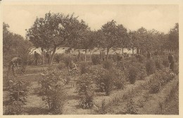 Ruiselede   -   Het Werk In Den Tuin - Ruiselede