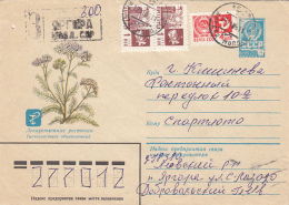 46603- YARROW, MEDICINAL PLANTS, COVER STATIONERY, 1981, RUSSIA-USSR - Plantas Medicinales