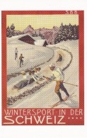 Colombo, Plinio.REPRODUCTION D´affiche De 1904. Wintersport In Der Schweiz. Sports D'hiver En Suisse - D'Alési, Hugo