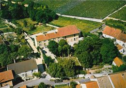 Nantoux - Meursault - Château De Nantoux - Julien Montchovet, Viticulteur - Vue Aérienne - Meursault