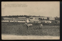 Bello Horizonte Minas Geraes   Ferme Modele Gamelleira Et Institut J Pinheiro - Belo Horizonte