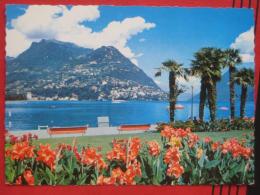 Lugano (TI) Paradiso - Monte Bre - Paradiso