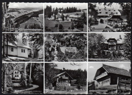 Krieglach - Peter ROSEGGER - Geburtshaus, Sterbehaus, Alpengasthof Burggraben - Mehrbildkarte G - Krieglach