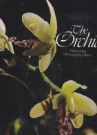 ORCHID SUPERBE LIVRE SUR LES ORCHIDEES LIVRE EN ANGLAIS - Otros & Sin Clasificación