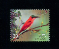 EGYPT / 2002 /  BIRDS / OISEAUX / VÖGEL / UCCELLI / PUTNI / AVES / PASARI - Unused Stamps