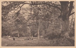 14 - HEROUVILLE - Maison De Convalescence - Vue Sur L'île - Herouville Saint Clair