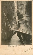 MEYRINGEN AARESCHLUCHT PRECURSEUR - Meyrin