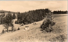 Oberhof In Thüringen - S/w Blick Nach Dem Gebrannten Stein - Oberhof