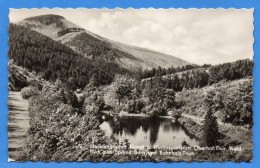 Oberhof In Thüringen - S/w Blick Zum Spitzen Berg - Oberhof