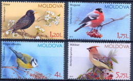MOLDOVA 2015 FAUNA Animals BIRDS - Fine Set MNH - Moldova