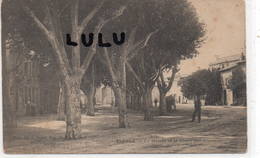 DEPT 84 : Lapalud , La Mairie Et Le Cours Des Platanes - Lapalud