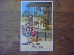 Groeten Uit ZOLDER ( HEUSDEN ) Singes - Apen - Heusden-Zolder