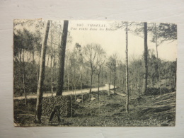 VIROFLAY - Une Route Dans Les Bois - Viroflay