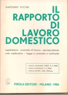 IL RAPPORTO DI LAVORO DOMESTICO GAETANO VICINI PIROLA EDITORE - Droit Et économie