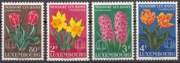 Luxembourg Flowers 1955 Mi#531-534 Mint Never Hinged - Unused Stamps