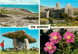 CPSM Ireland-The Burren       L2170 - Clare