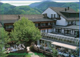 Oberkirch Ödsbach - Waldhotel Grüner Baum - Oberkirch