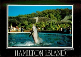 CPSM Australia-Hamilton Island-Dolphin Pool   L2171 - Mackay / Whitsundays