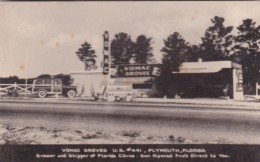 Florida Plymouth Vomac Groves Citrus Stand On U S Highway 441 - Orlando