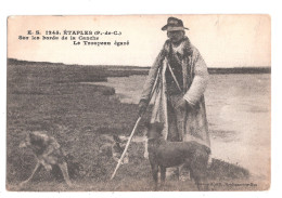 Etaples Pas De Calais Sur Les Bords De La Canche  Le Troupeau Egaré  Berger Et Chiens Dogs UNUSED Achat Immédiat - Etaples