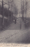 Visé - Les Escaliers De Lorette (animée, Edit. Pâquet, 1908) - Visé