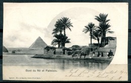 # - Bord Du Nil Et Palmiers (affranchissement De Port Saïd) - Piramiden