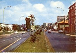 Fresnes. Avenue P.V.Couturier. - Fresnes