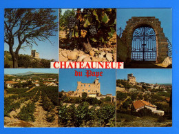 CP10 84 CHATEAUNEUF DU PAPE 531 - Chateauneuf Du Pape