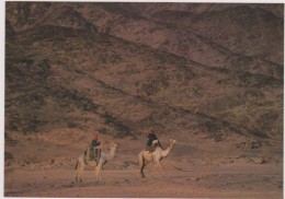 SAUDI ARABIA,ARABIE SAOUDITE,SAUDITA,ARAB EMIRATES,TABUK,TABOUK,CARAVANE - Saudi-Arabien