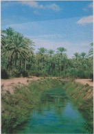 SAUDI ARABIA,ARABIE SAOUDITE,SAUDITA,ARAB EMIRATES,OASIS,QATIF,GOLFE PERSIQUE,ACH CHARQIYA,BAHREIN,CANAUX - Arabie Saoudite