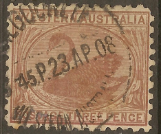 WESTERN AUSTRALIA 1905 3d P11 SG 153 U #VI766 - Used Stamps