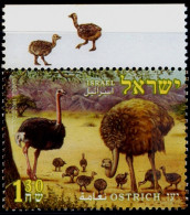 BIRDS-OSTRICH-WITH SELVEDGE-ISRAEL-2005-MNH-TP-611 - Ostriches