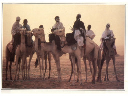 (M+S 240) Niger - Touareg On Dromadery - Niger