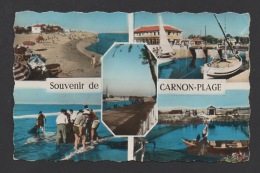 DF / 34 HÉRAULT / MAUGUIO-CARNON / CARNON / LA PLAGE, LE PORT, PÊCHE À LA TRAINE ET AU GLOBE, AVENUE DE MONTPELLIER - Mauguio