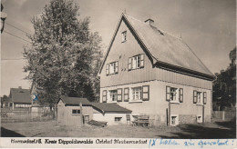 AK Neuhermsdorf Baude Hütte Pension A Hermsdorf Seyda Rehefeld Holzhau Bienenmühle Nassau Reichenau Altenberg Schönfeld - Oberholzhau (Erzgeb.)