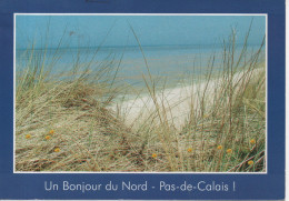 CP  - PUBLICITAIRE - UN BONJOUR DU NORD PAS DE CALAIS - OYE PLAGE - Oye Plage