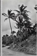 CPSM Ile De La Réunion écrite éditeur Jean GERARD 19 Sainte Suzanne - Autres & Non Classés