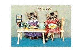 Carte Fantaisie - Chat - Chats Habillés Humanisés Repas Dinette Bonne Fête Kruger 900/40 - Dressed Animals