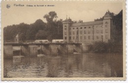 Floriffoux:Château De Dorlodot Et Déversoir - Floreffe