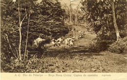 S. THOMÉ, SÃO TOMÉ, ILHA DO PRINCIPE, Roça Nova Cintra, 2 Scans - São Tomé Und Príncipe