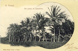 S. THOMÉ, SÃO TOMÉ, Um Grupo De Coqueiros (1906), 2 Scans - Sao Tome Et Principe