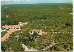 DEP 33 ARES VUE AERIENNE DANS LA FORET - Arès