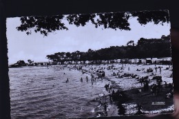 ILE DE NOIREMOUTIER - Noirmoutier