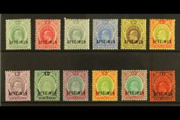 1907-11 Definitives Set Complete Overprinted "SPECIMEN", SG 33s/44s, Very Fine Mint (12 Stamps) For More Images,... - Nigeria (...-1960)