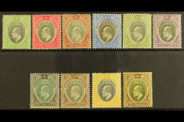 1903-04 Watermark Crown CA Definitive Set Complete To 10s, SG 10/19, Fine Mint. (10 Stamps) For More Images,... - Nigeria (...-1960)