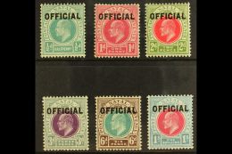 NATAL OFFICIALS - 1904 Set Complete, SG O1/6, Fine To Very Fine Mint. (6 Stamps) For More Images, Please Visit... - Zonder Classificatie