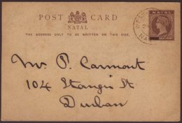 NATAL 1894 (Aug) ½d Postal Card To Durban, Clearly Cancelled By Upright Cds WESSELSNEK NATAL , Ladysmith... - Zonder Classificatie